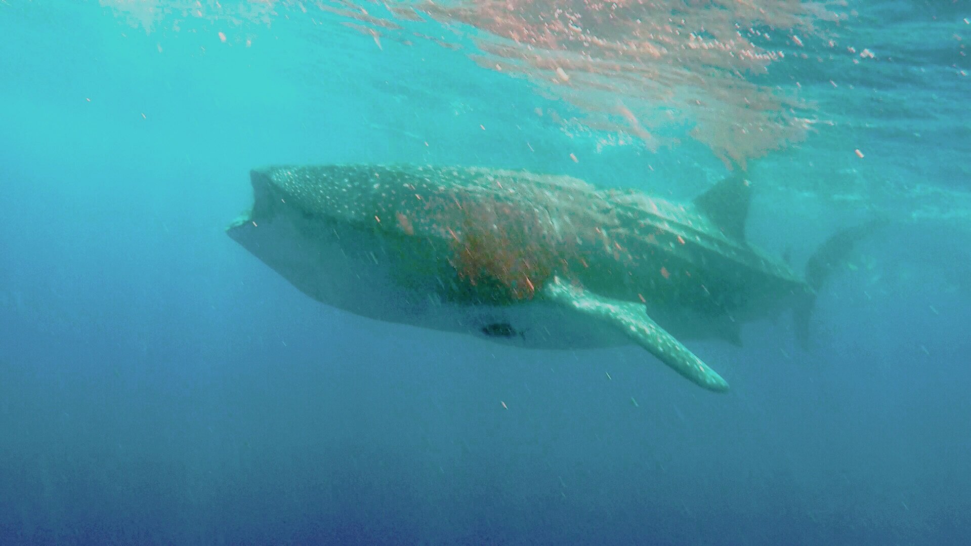 GOPR0940-0001.jpg