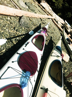 kayaks.JPG